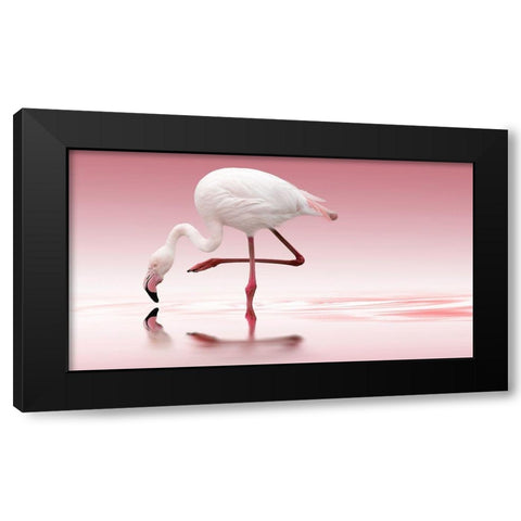 Reindl - Flamingo Black Modern Wood Framed Art Print with Double Matting by 1x