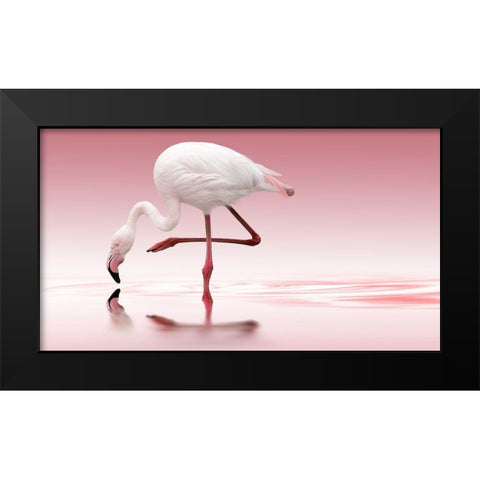 Reindl - Flamingo Black Modern Wood Framed Art Print by 1x