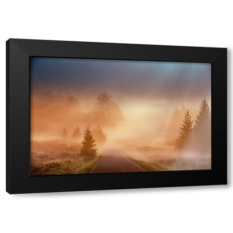 Motl - Magical morning Black Modern Wood Framed Art Print by 1x