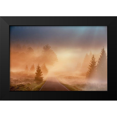Motl - Magical morning Black Modern Wood Framed Art Print by 1x