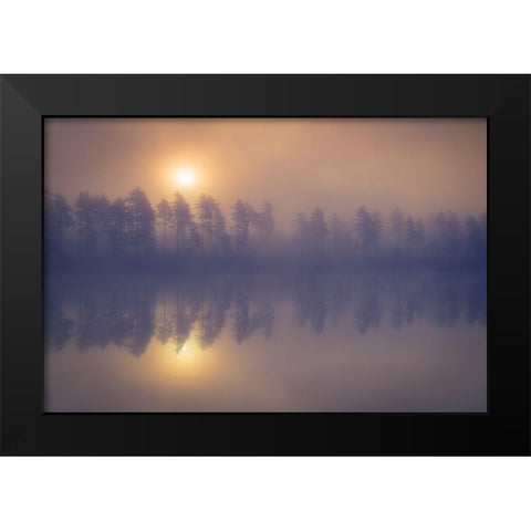 Misty trees Black Modern Wood Framed Art Print by 1x