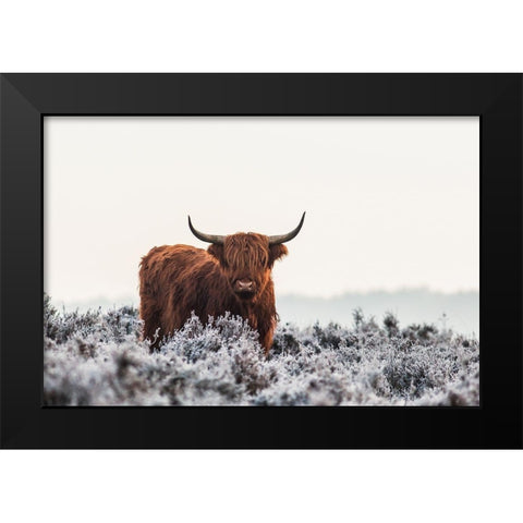 Highlander Black Modern Wood Framed Art Print by Den, Van