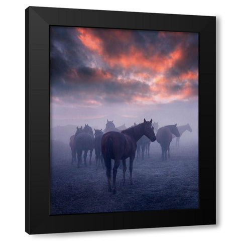 Wild Horses Black Modern Wood Framed Art Print by 1x