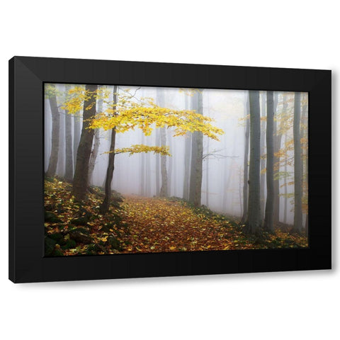 Untitled Black Modern Wood Framed Art Print by 1x