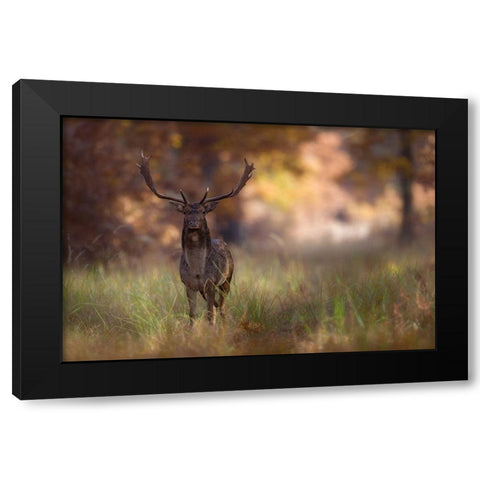 Posing Black Modern Wood Framed Art Print by Mastahac