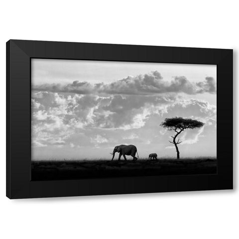 Moreno - Silhouettes of Mara Black Modern Wood Framed Art Print with Double Matting by 1x