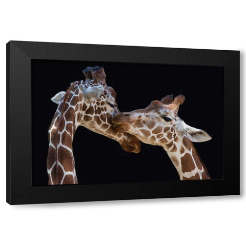 Foeger-The Kiss Black Modern Wood Framed Art Print with Double Matting by 1x