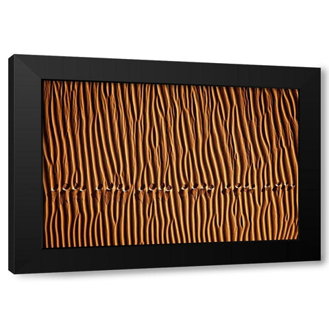 Momeni - Foot Print III Black Modern Wood Framed Art Print by 1X