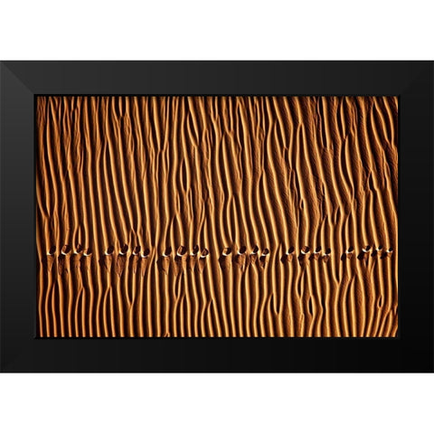 Momeni - Foot Print III Black Modern Wood Framed Art Print by 1X