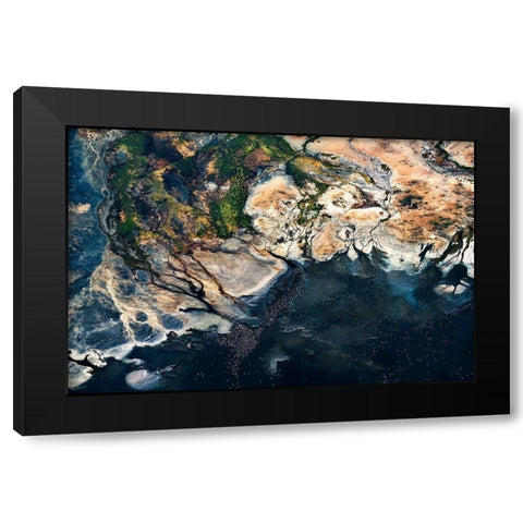 Fan - Splendid Africa Black Modern Wood Framed Art Print by 1x