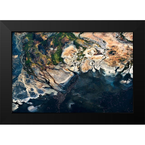 Fan - Splendid Africa Black Modern Wood Framed Art Print by 1x