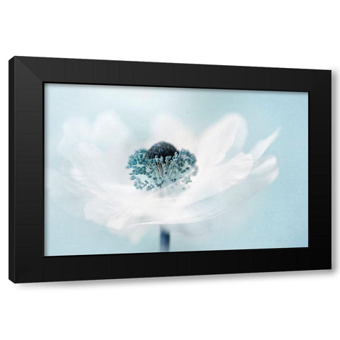 Candy Floss Black Modern Wood Framed Art Print by Parker
