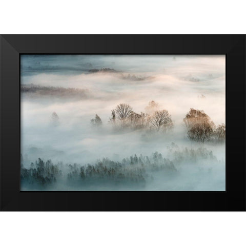 Winter Fog Black Modern Wood Framed Art Print by Galimberti
