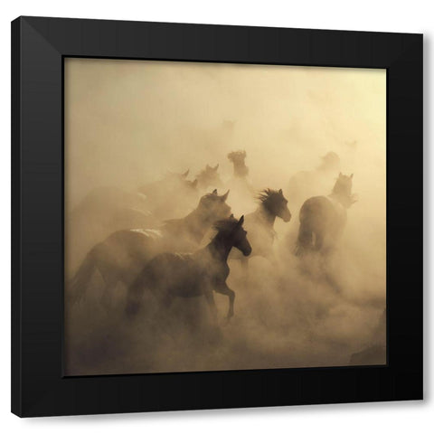 Migration of Horses  Black Modern Wood Framed Art Print with Double Matting by 1x