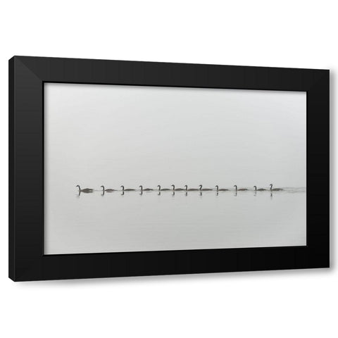 Follow me Black Modern Wood Framed Art Print with Double Matting by Kalathas