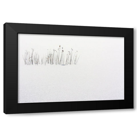 Frozen life Black Modern Wood Framed Art Print with Double Matting by Scappazzoni