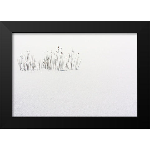 Frozen life Black Modern Wood Framed Art Print by Scappazzoni