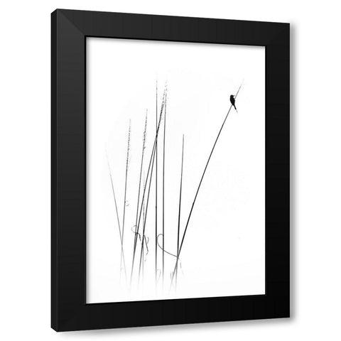 A Sabbatical Black Modern Wood Framed Art Print by Swapnil