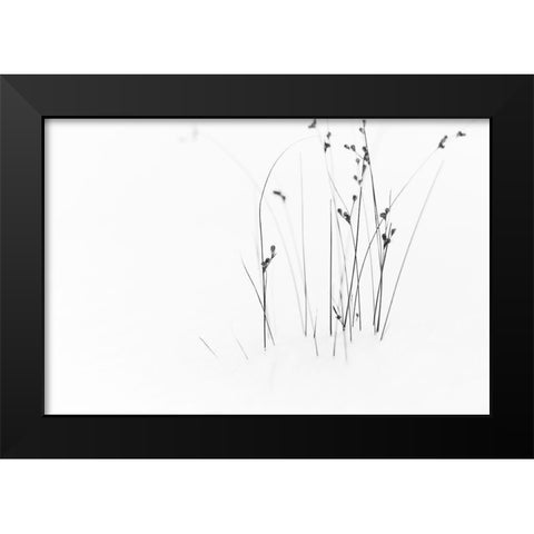 Black on White Black Modern Wood Framed Art Print by Ljubicic