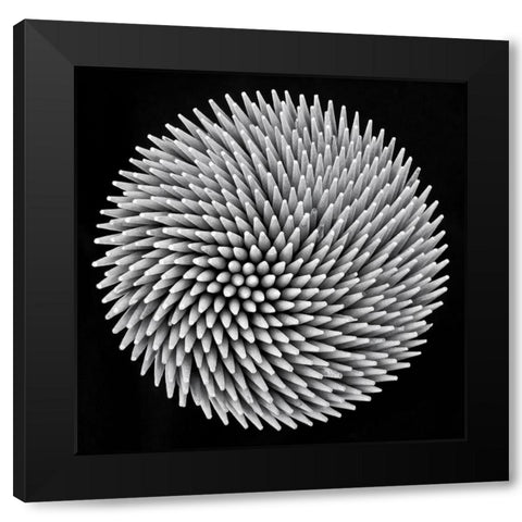 Hypnosis Black Modern Wood Framed Art Print with Double Matting by Toniolo