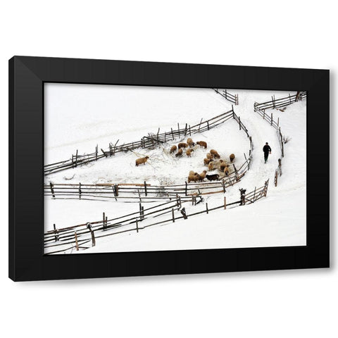 Protected Area Black Modern Wood Framed Art Print with Double Matting by Harag