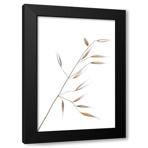 Lagandre- Subtle Delicateness  Black Modern Wood Framed Art Print by 1x