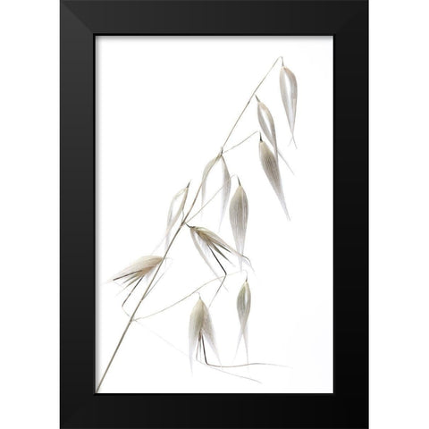 Reed Delicacy Black Modern Wood Framed Art Print by Lagandre