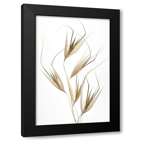 Lagandre- Delicacy of Nature Black Modern Wood Framed Art Print by 1x