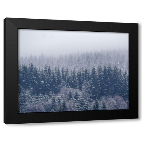 Frozen Trees Black Modern Wood Framed Art Print by ChristensenÂ 