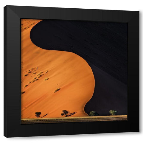 Light and Shadow Black Modern Wood Framed Art Print by Flour