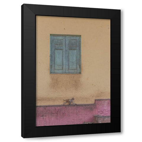 Monkey Stroll Black Modern Wood Framed Art Print by Dessureault