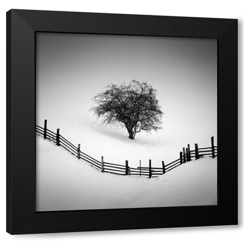 Trapped Black Modern Wood Framed Art Print with Double Matting by Rak