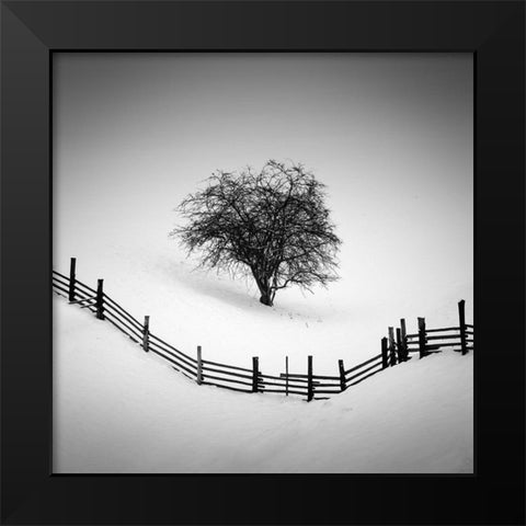Trapped Black Modern Wood Framed Art Print by Rak