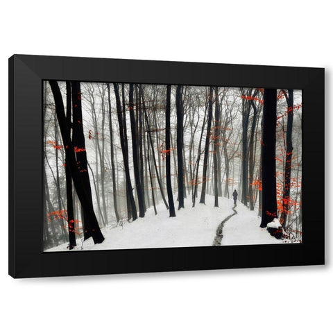 Through autumn and winter Black Modern Wood Framed Art Print with Double Matting by Krivec