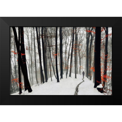 Through autumn and winter Black Modern Wood Framed Art Print by Krivec