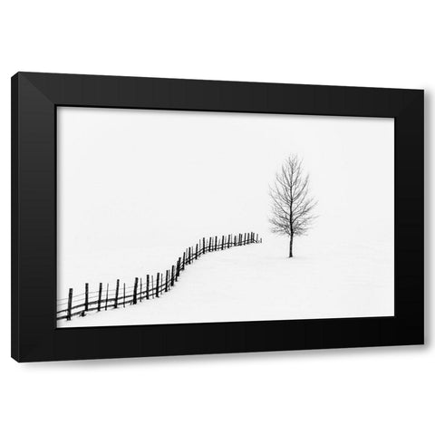 Silence  Black Modern Wood Framed Art Print by Lucian, Dorin