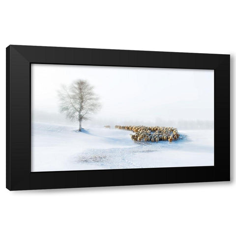 In Snow Black Modern Wood Framed Art Print by Zhu