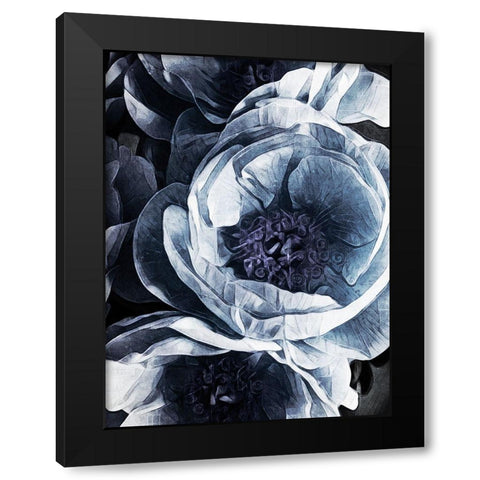 Peony Blue Petals III Black Modern Wood Framed Art Print with Double Matting by Aldridge, Ashley