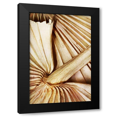 Natural Dried Palms I  Black Modern Wood Framed Art Print by Aldridge, Ashley