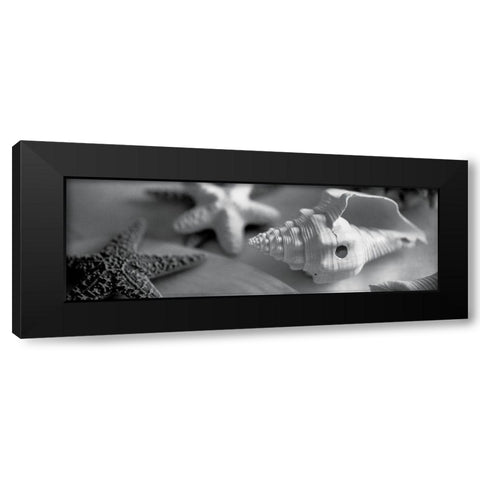 Coastal Collection II Black Modern Wood Framed Art Print with Double Matting by YK Studios