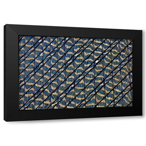 Guilding Black Modern Wood Framed Art Print by Zimbalist, David