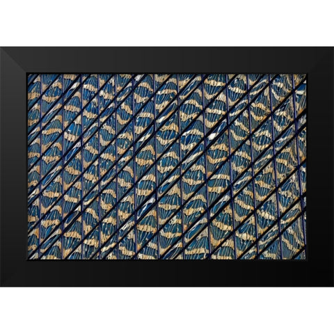Guilding Black Modern Wood Framed Art Print by Zimbalist, David