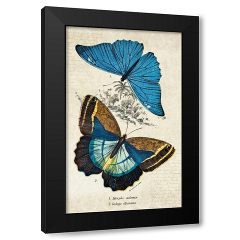 Kirby Butterflies II Black Modern Wood Framed Art Print by Zalewski, Christine