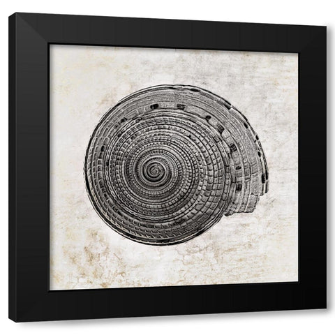 Aquatic Resources I Black Modern Wood Framed Art Print by Zalewski, Christine