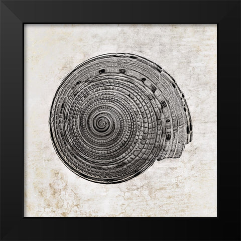 Aquatic Resources I Black Modern Wood Framed Art Print by Zalewski, Christine