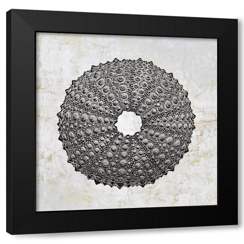 Aquatic Resources II Black Modern Wood Framed Art Print by Zalewski, Christine