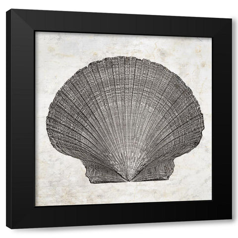 Aquatic Resources III Black Modern Wood Framed Art Print by Zalewski, Christine