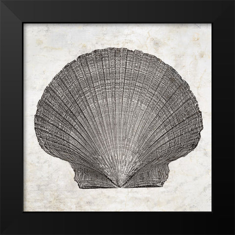 Aquatic Resources III Black Modern Wood Framed Art Print by Zalewski, Christine