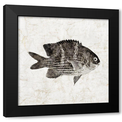 Vintage Fish I Black Modern Wood Framed Art Print with Double Matting by Zalewski, Christine
