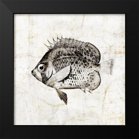 Vintage Fish IV Black Modern Wood Framed Art Print by Zalewski, Christine